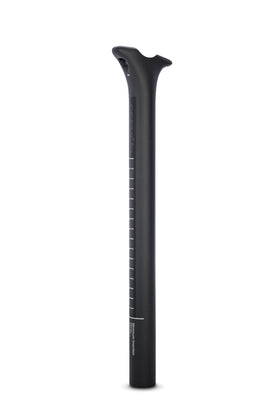 SP19 SEATPOST WITH HEAD